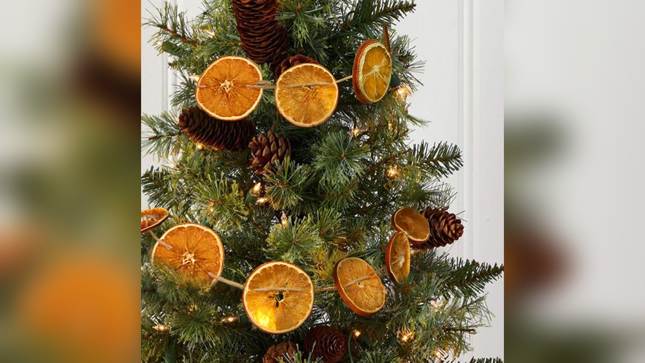Dried orange slice garland on a pine Christmas tree