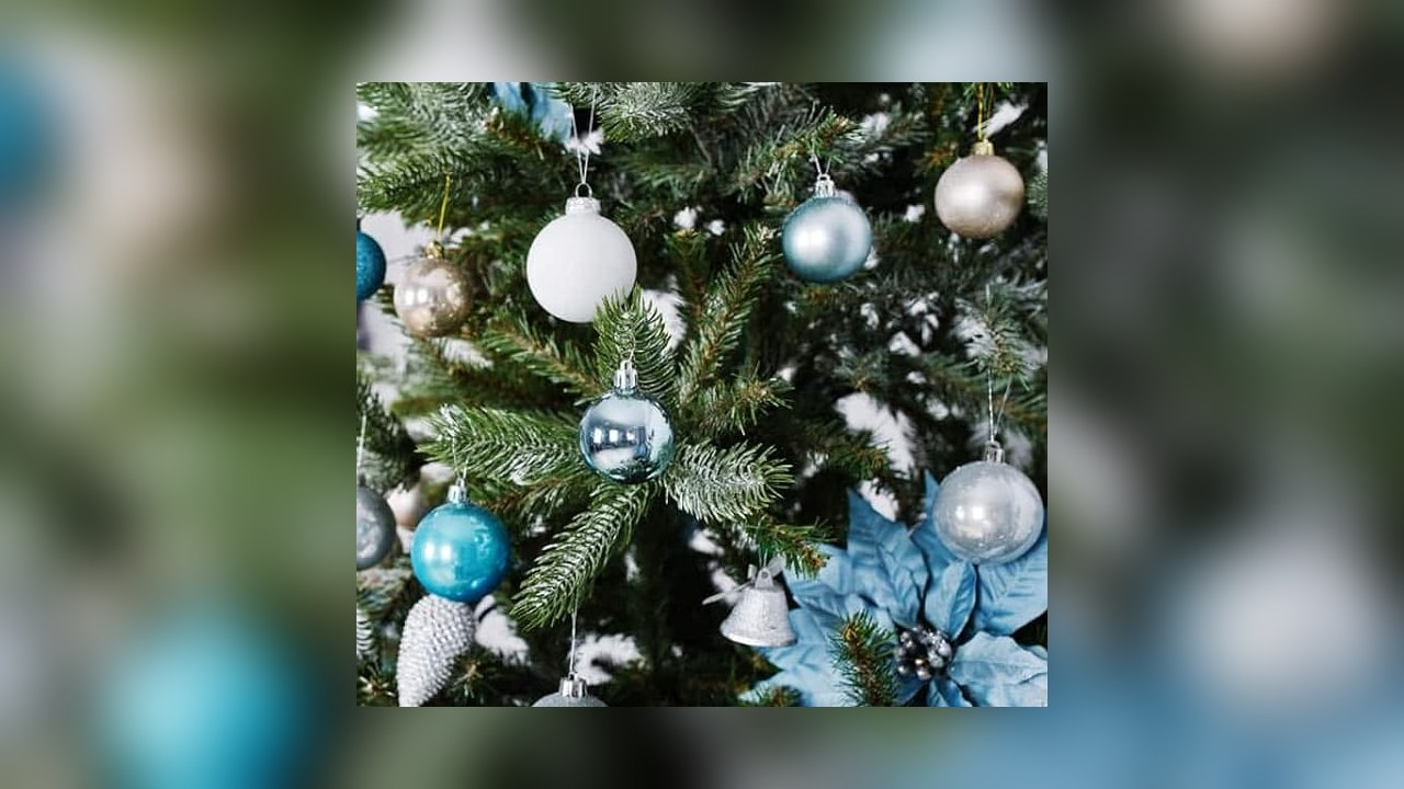 Clear fishing line holding shatterproof ornaments from a ceiling