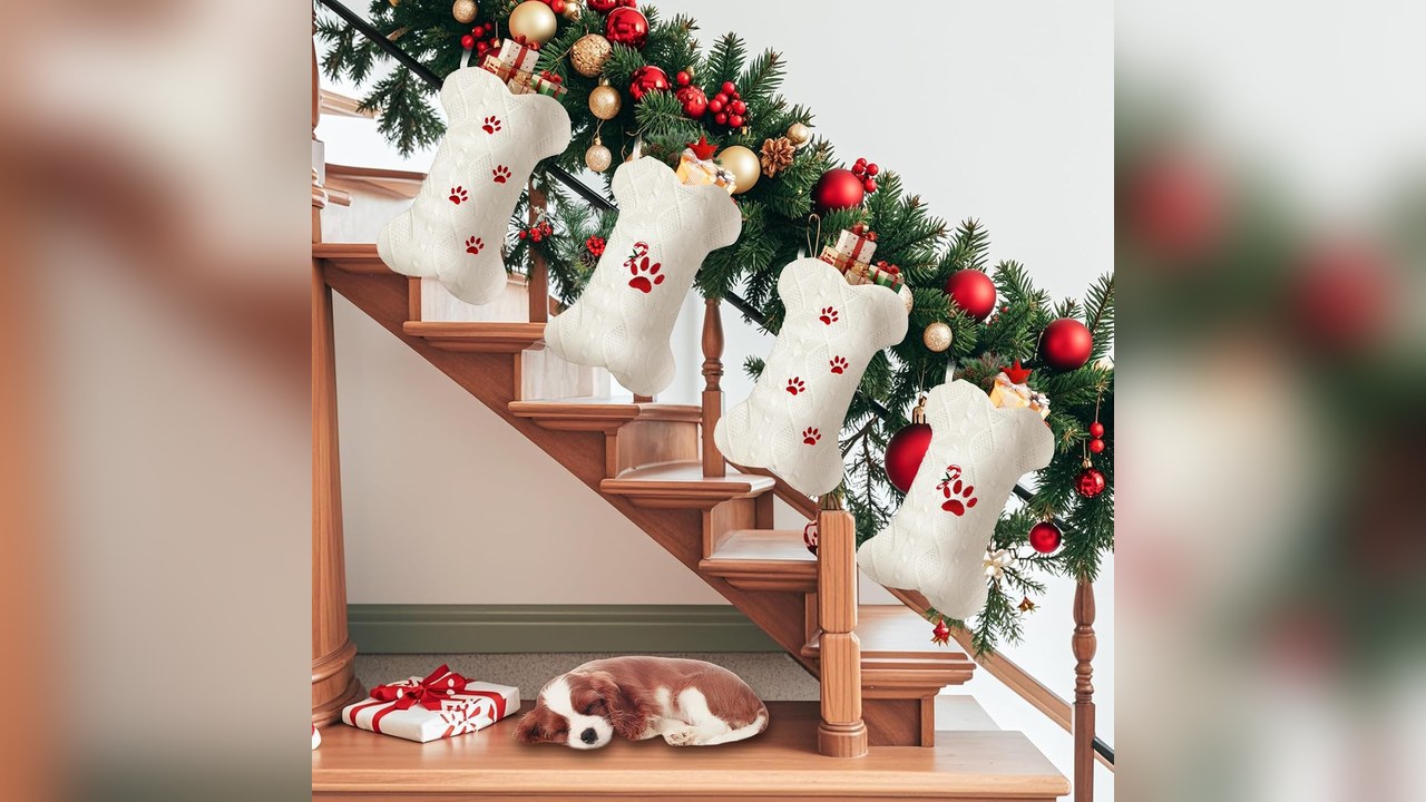 dog paw print Christmas stocking for pets