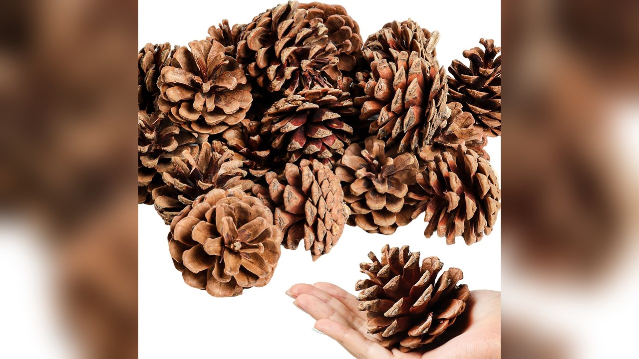 Natural pinecones tucked into evergreen stems in an outdoor planter